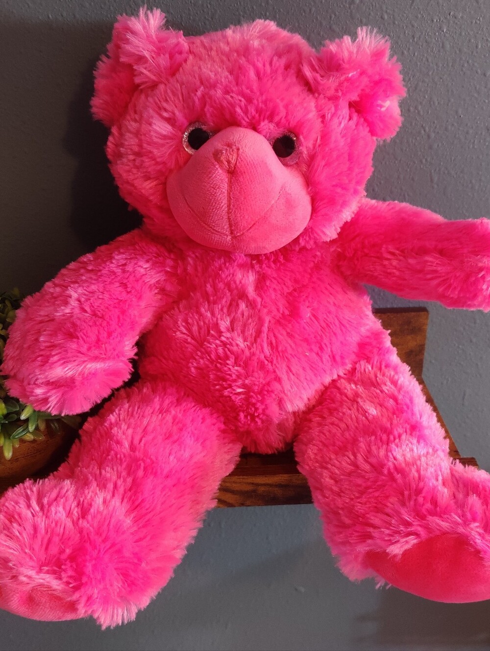 Fuzzy Hot Bright Pink Teddy Bear Plush With Pouch Unbranded 10" Stuffed Animal